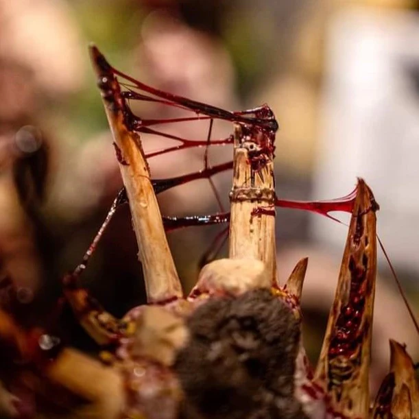 Dirty Down | Basing and Model Effects | Gore - Image 2