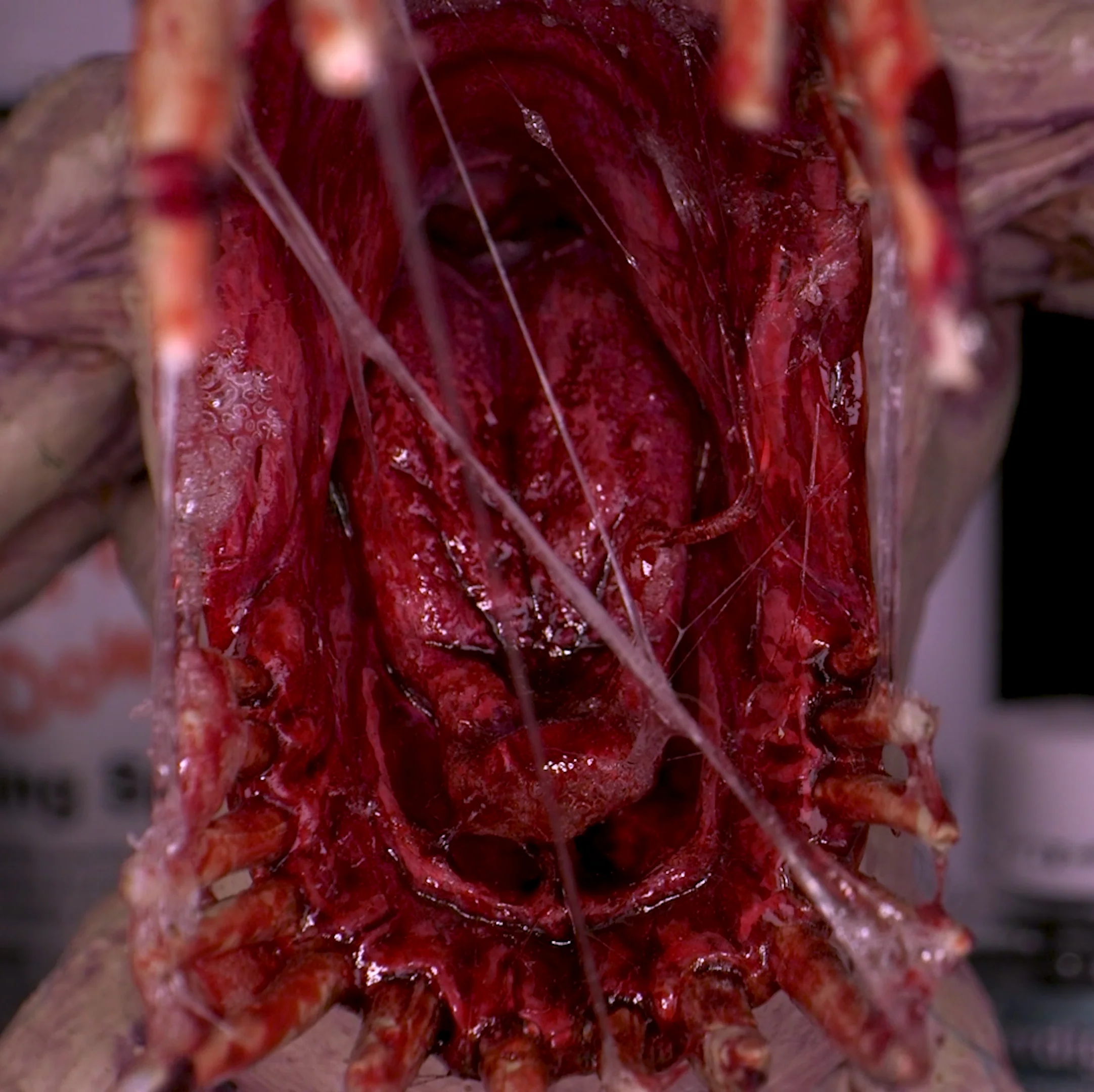 Dirty Down | Basing and Model Effects | Gore - Image 7