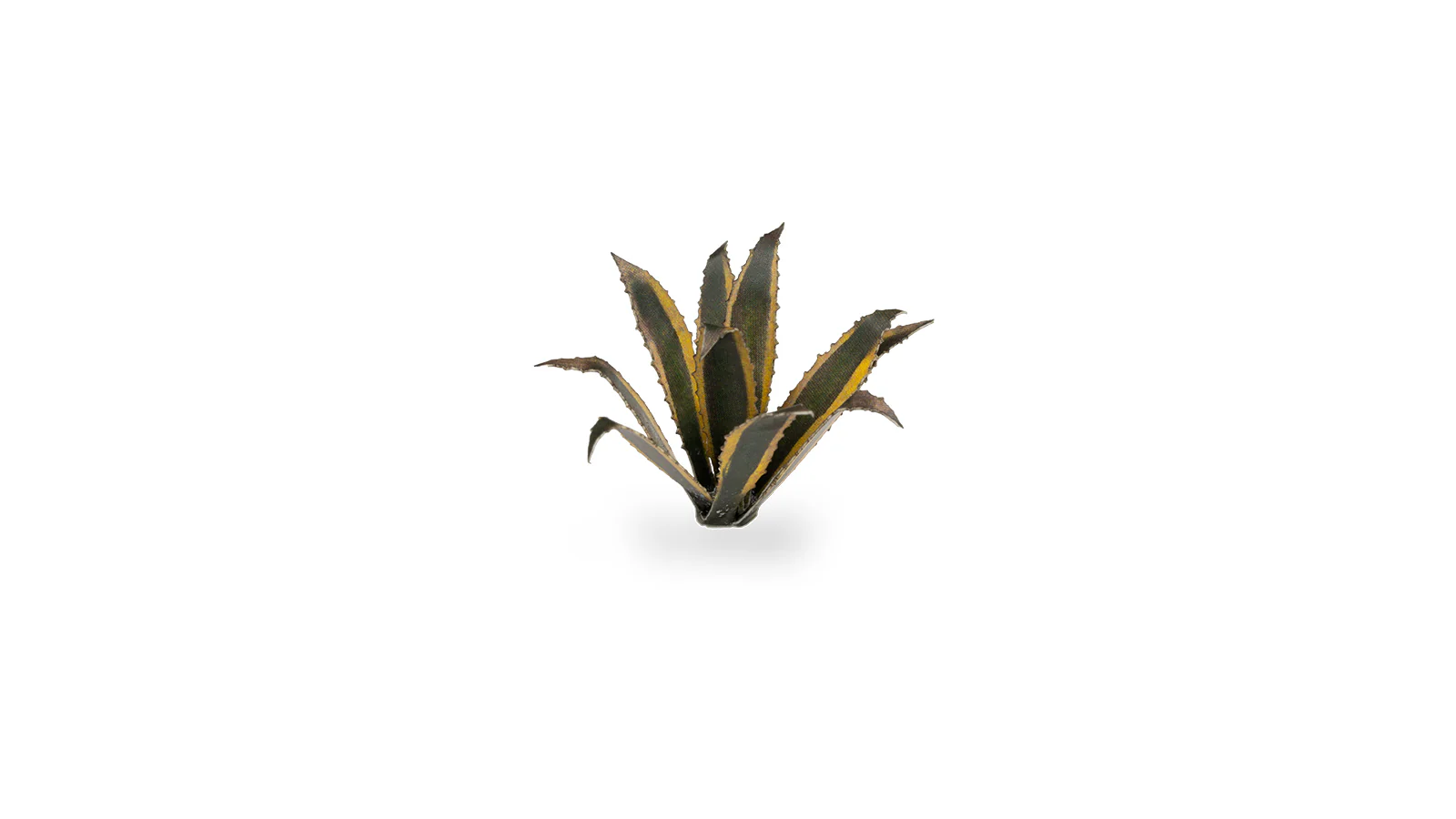 Gamers Grass | Laser Plants | Agave - Image 4