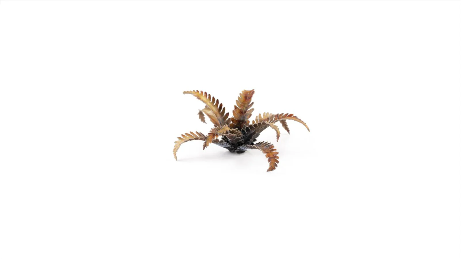 Gamers Grass | Laser Plants | Alien Fern - Image 5