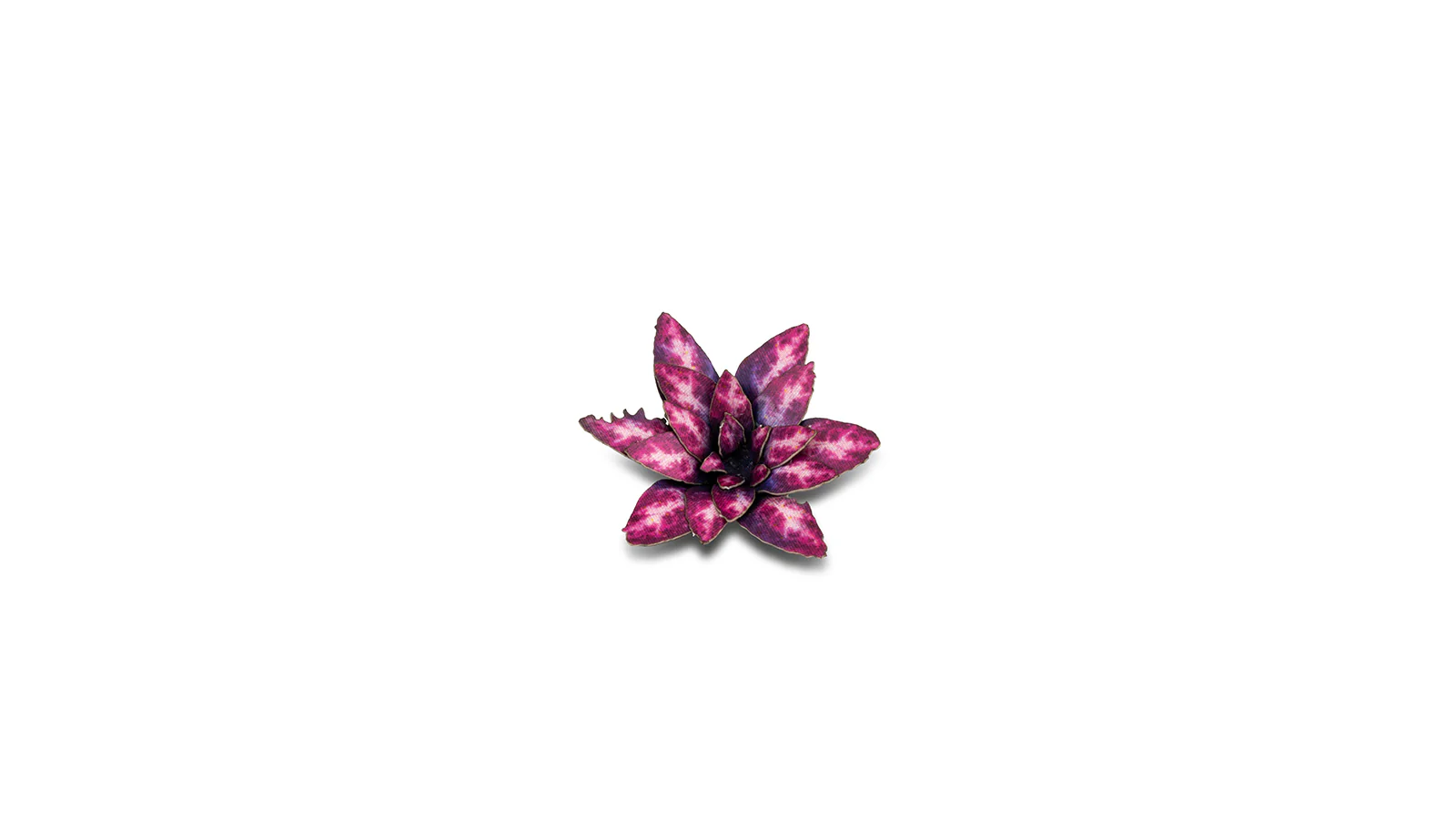 Gamers Grass | Laser Plants | Alien Rosette - Image 6