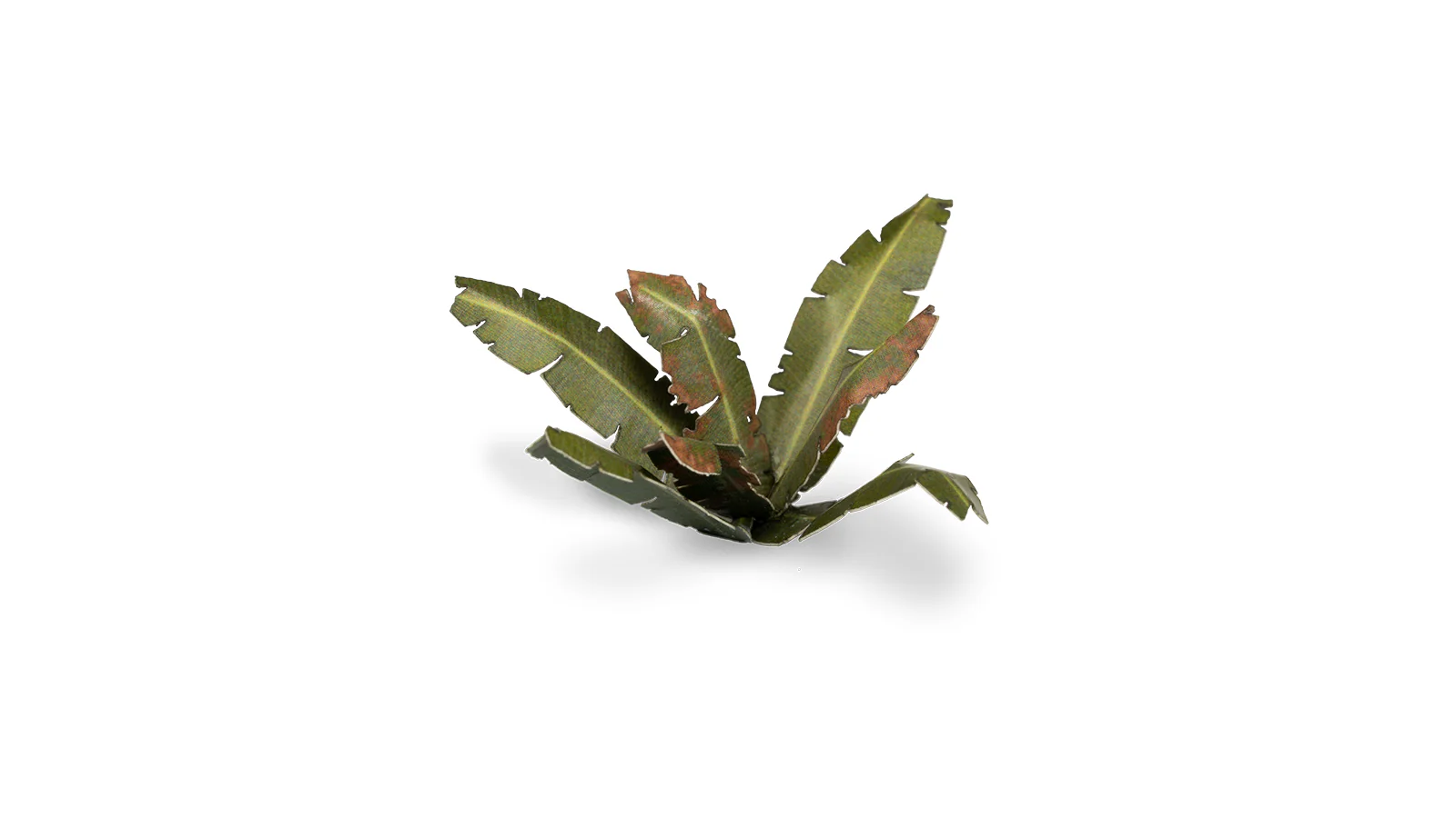 Gamers Grass | Laser Plants | Banana Tree - Image 3