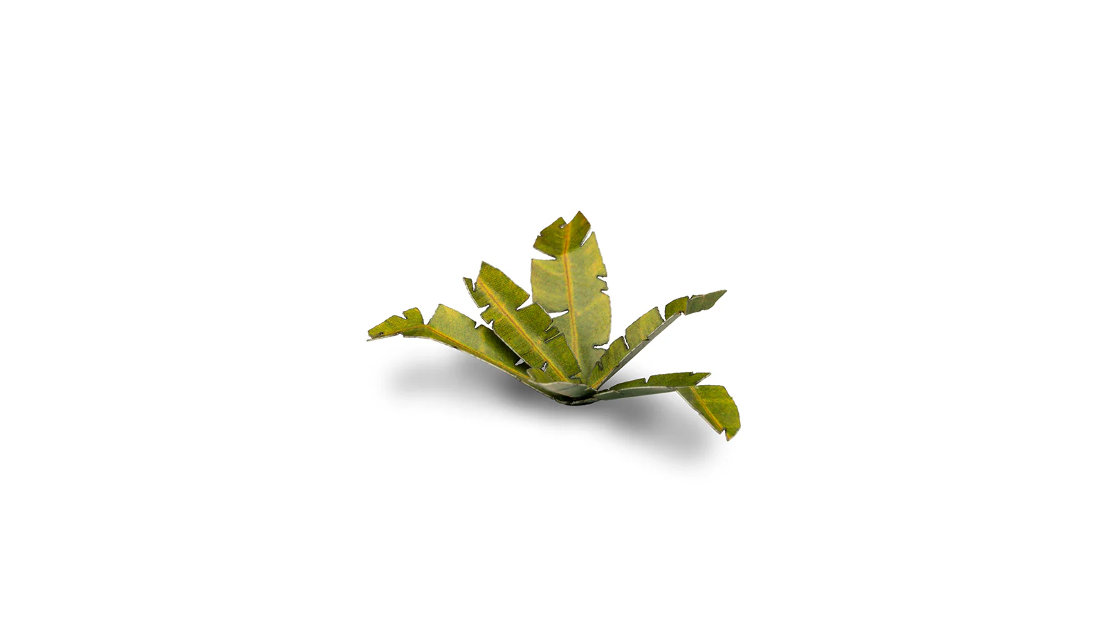 Gamers Grass | Laser Plants | Banana Tree - Image 4