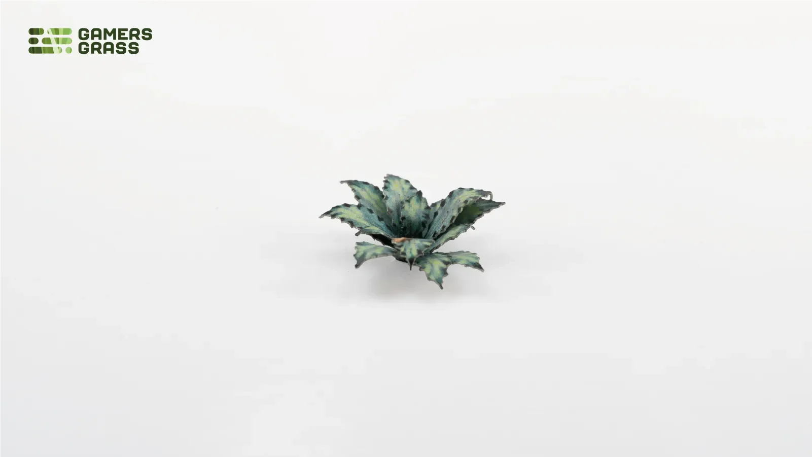 Gamers Grass | Laser Plants | Blue Agave - Image 4