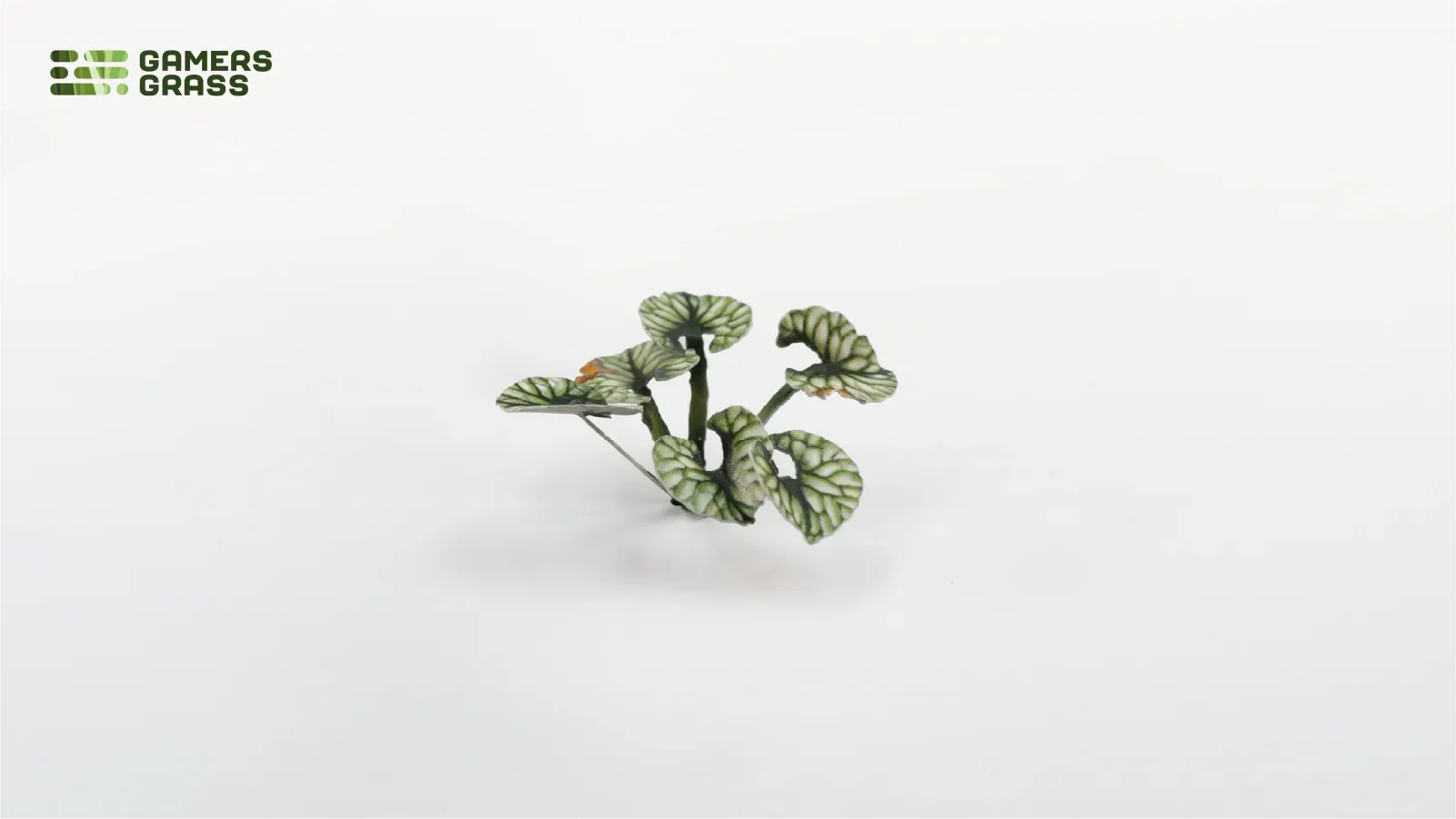 Gamers Grass | Laser Plants | Bugloss - Image 5