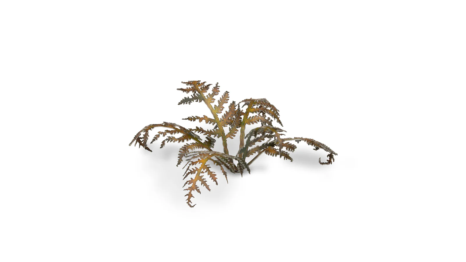 Gamers Grass | Laser Plants | Dry Bracken - Image 4