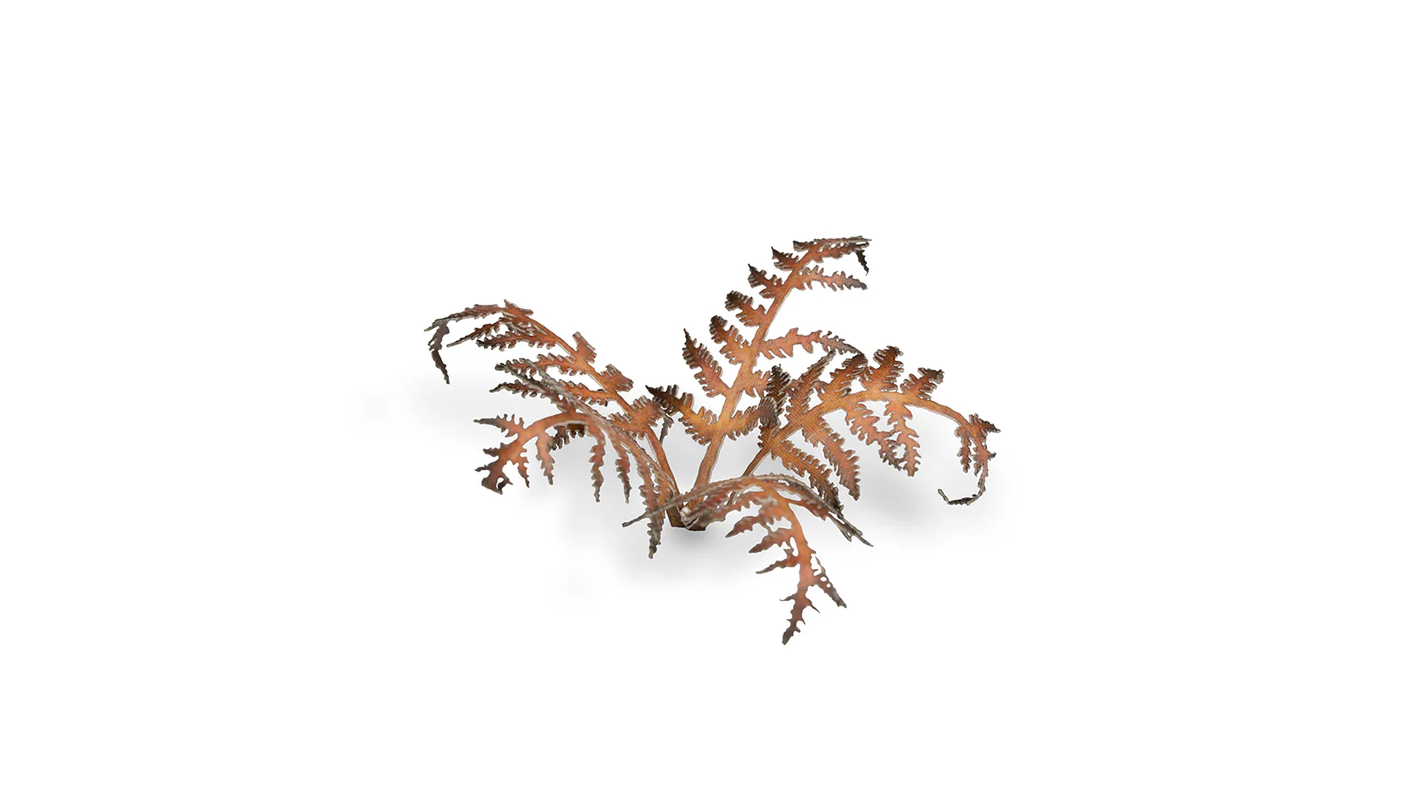 Gamers Grass | Laser Plants | Dry Bracken - Image 6