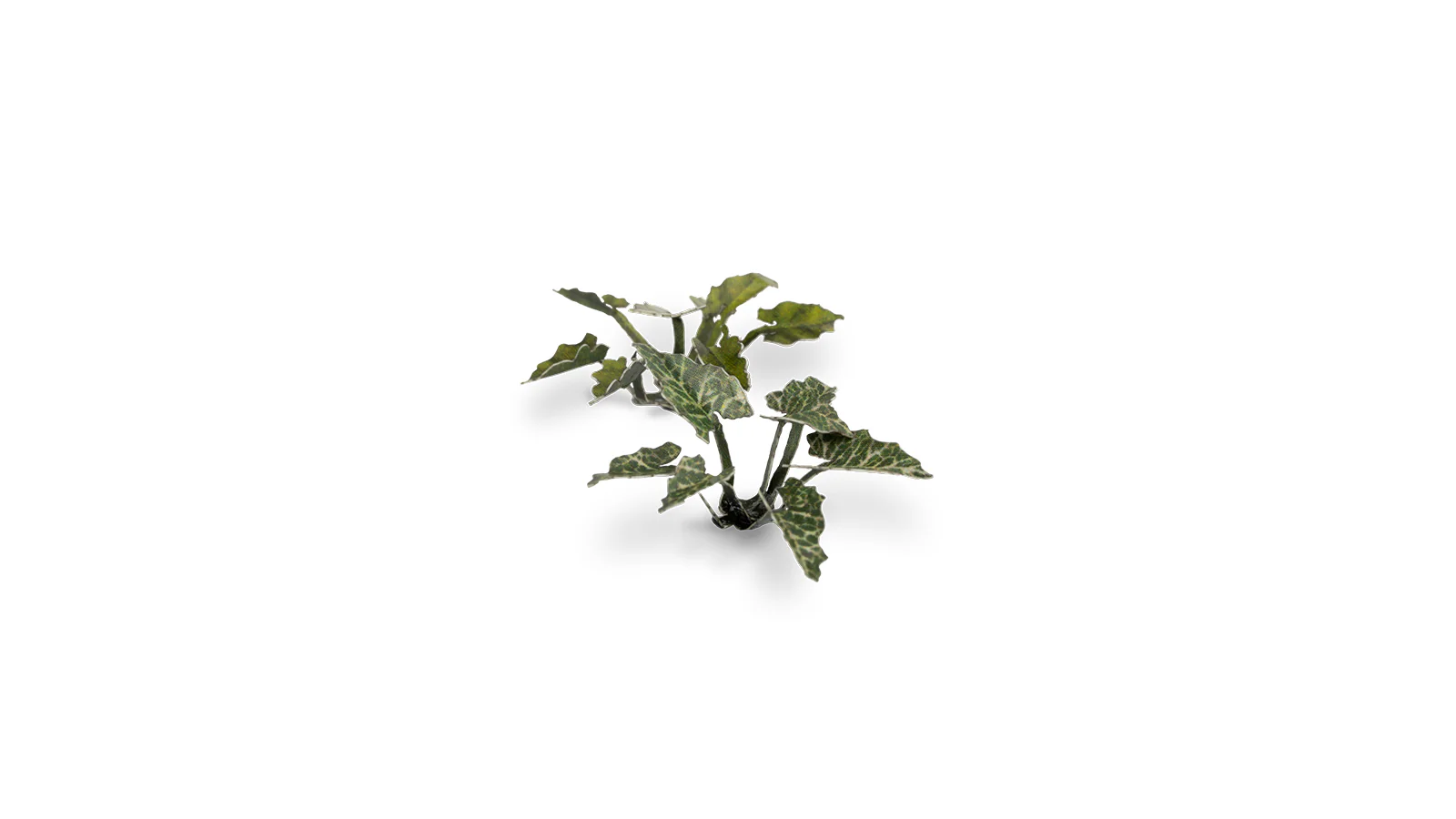 Gamers Grass | Laser Plants | Lords and Ladies - Image 3