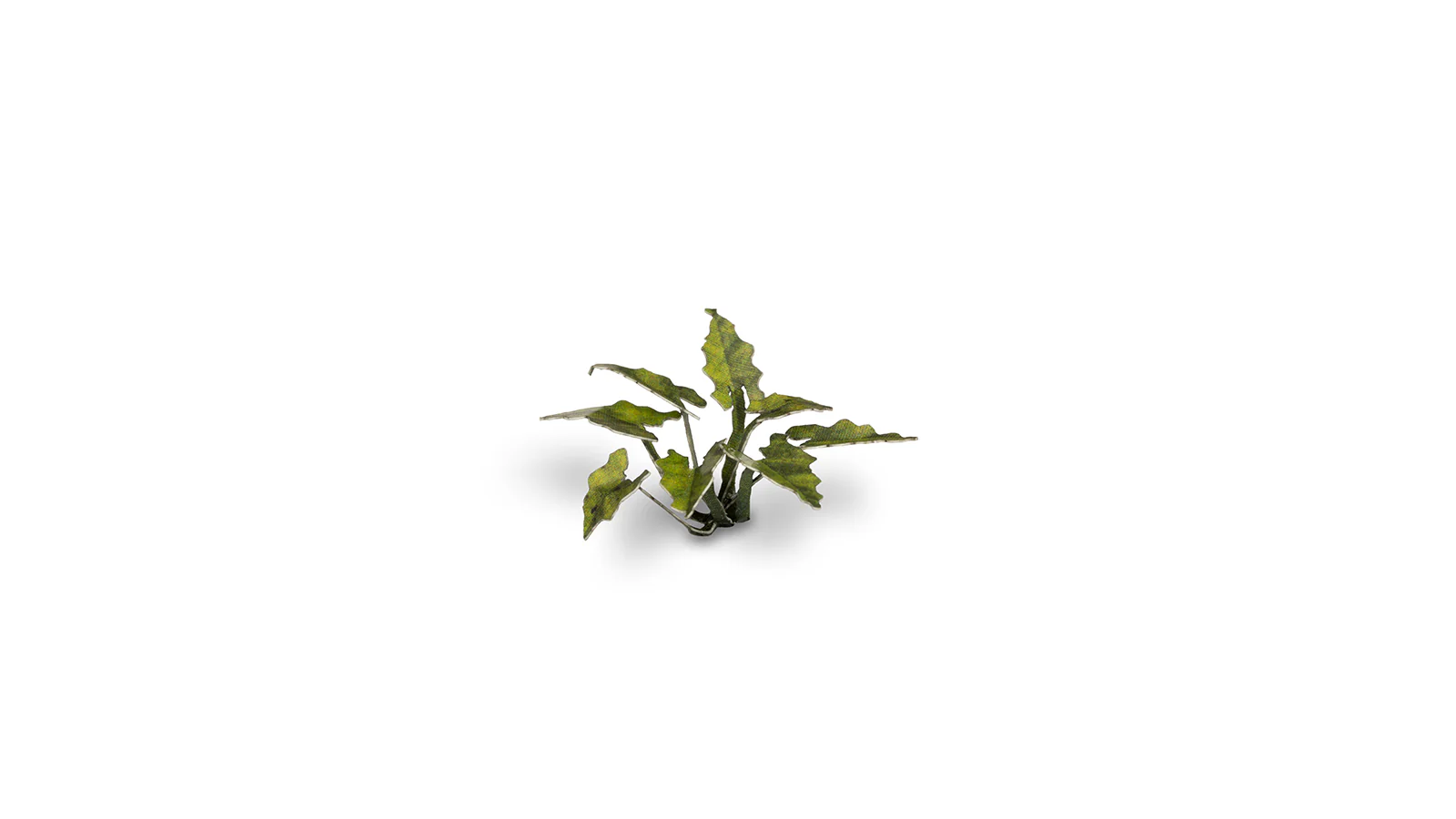 Gamers Grass | Laser Plants | Lords and Ladies - Image 5