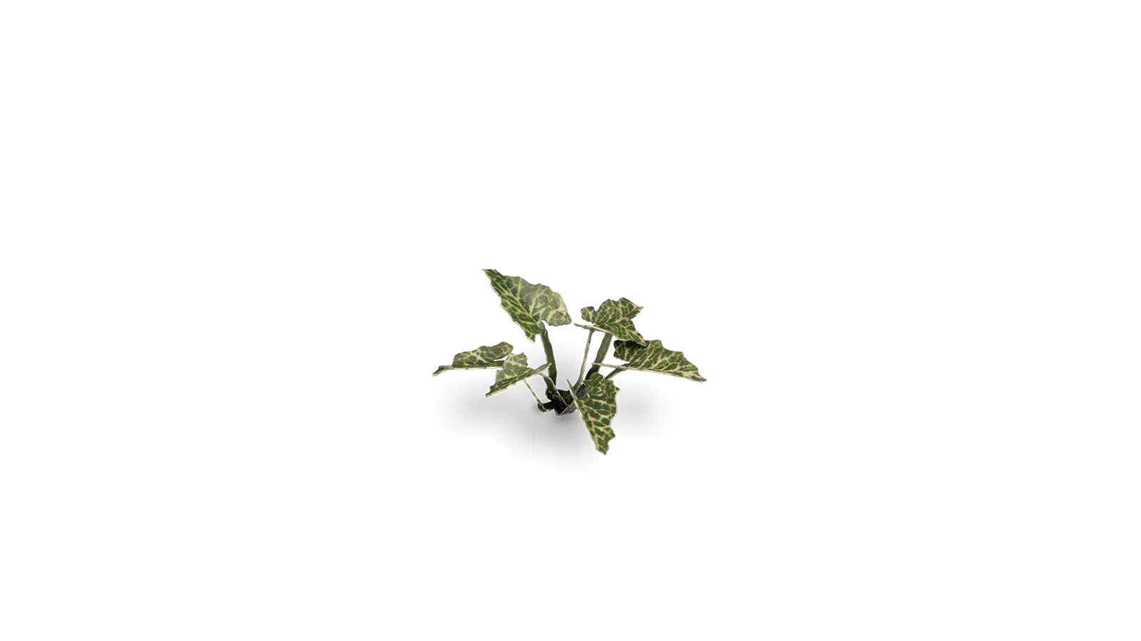 Gamers Grass | Laser Plants | Lords and Ladies - Image 6