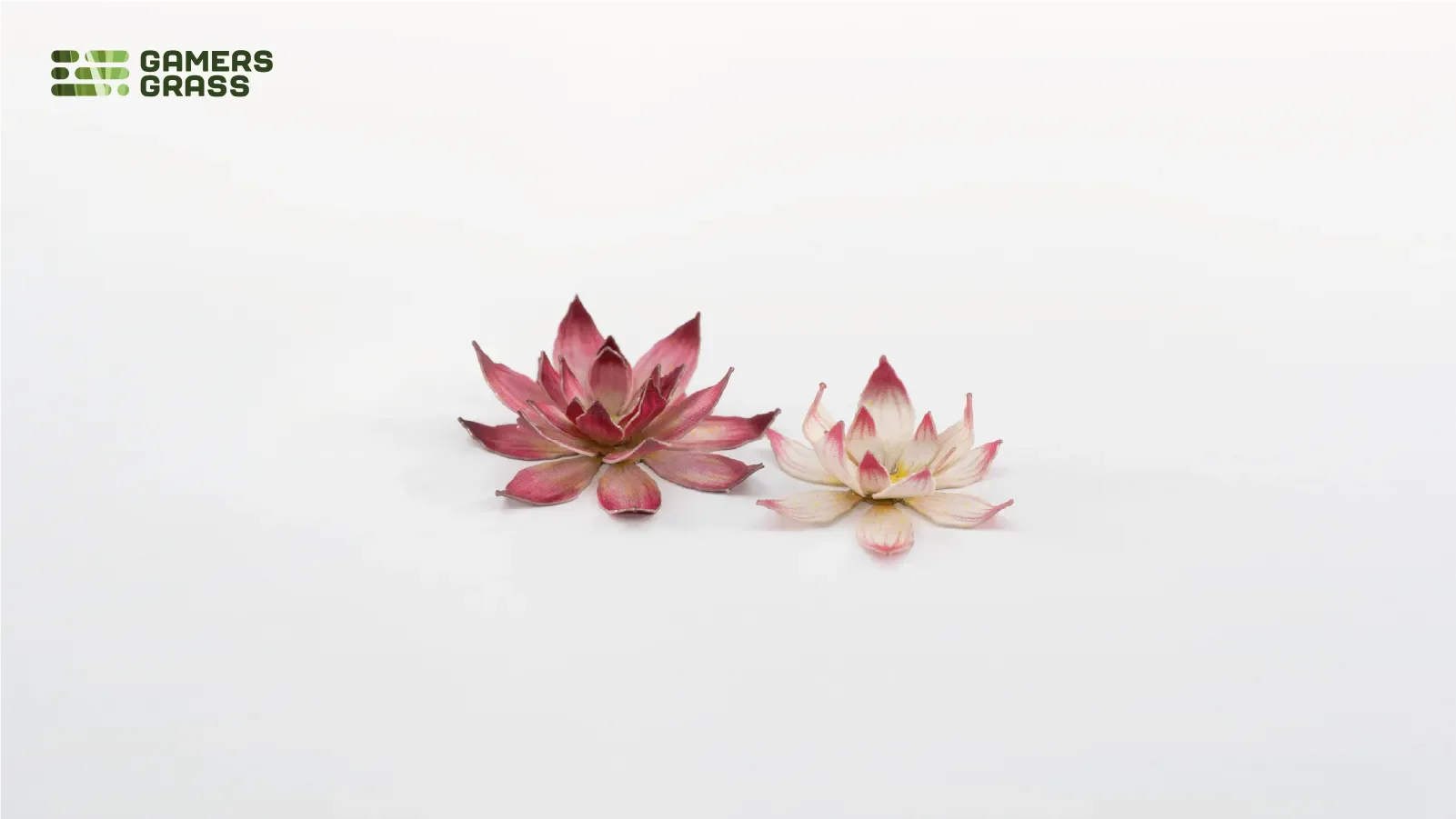 Gamers Grass | Laser Plants | Lotus Flower - Image 4