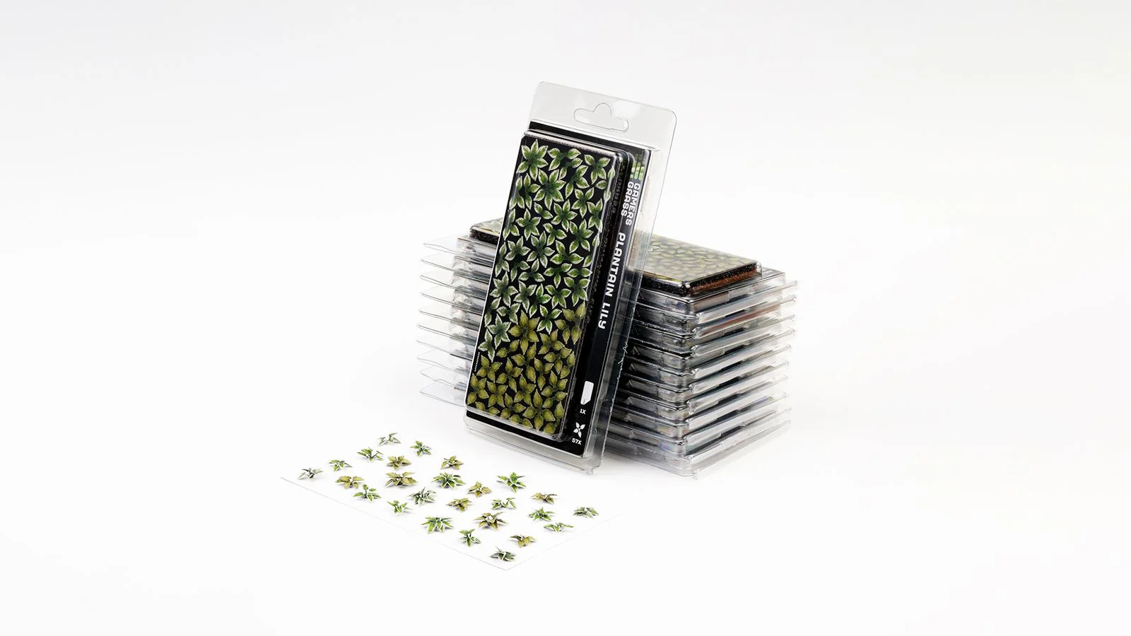 Gamers Grass | Laser Plants | Plantain Lily - Image 2