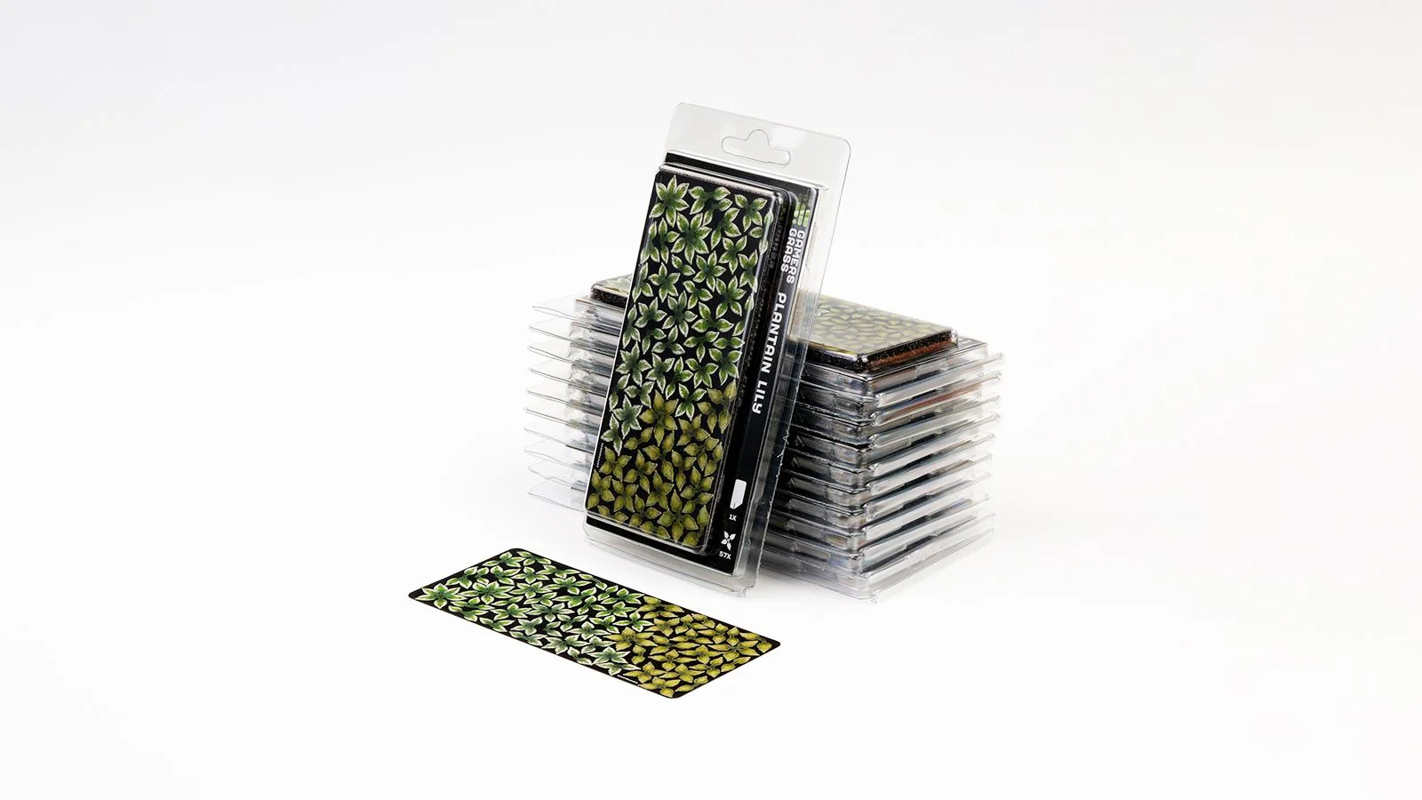 Gamers Grass | Laser Plants | Plantain Lily - Image 3